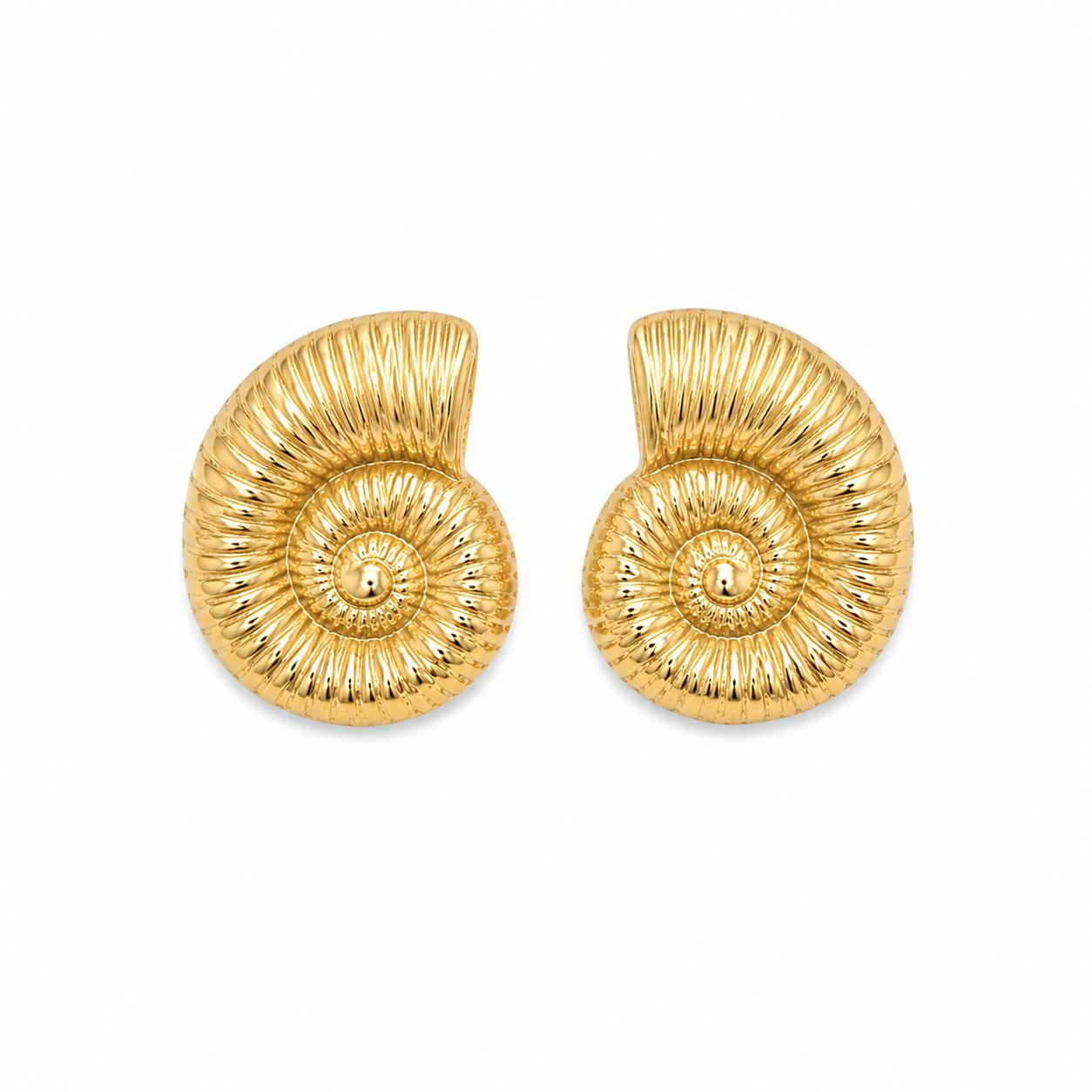 Golden Spiral Shell Studs